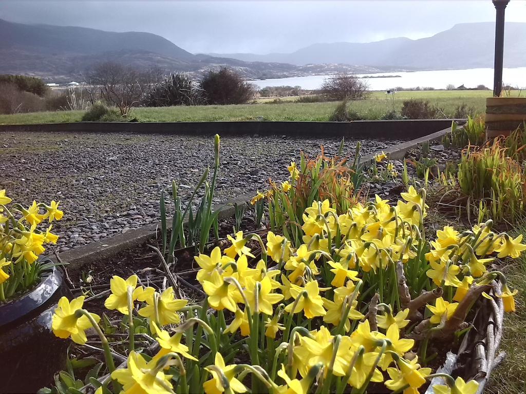 Currane Lodge Waterville Luaran gambar